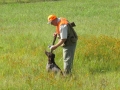 Steve and Princess Di German Shorthair